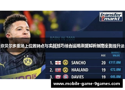 坎贝尔多重场上位置特点与实战技巧综合运用深度解析指南全面提升法