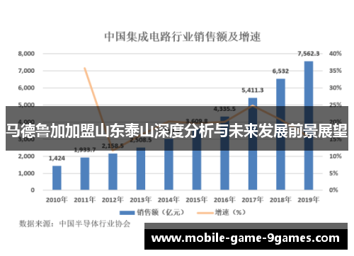 马德鲁加加盟山东泰山深度分析与未来发展前景展望