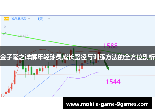 金子隆之详解年轻球员成长路径与训练方法的全方位剖析 金子隆之详解年轻球员成长路径与训练方法的全方位剖析