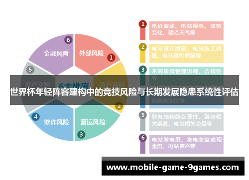世界杯年轻阵容建构中的竞技风险与长期发展隐患系统性评估