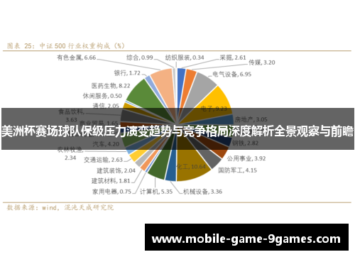 美洲杯赛场球队保级压力演变趋势与竞争格局深度解析全景观察与前瞻